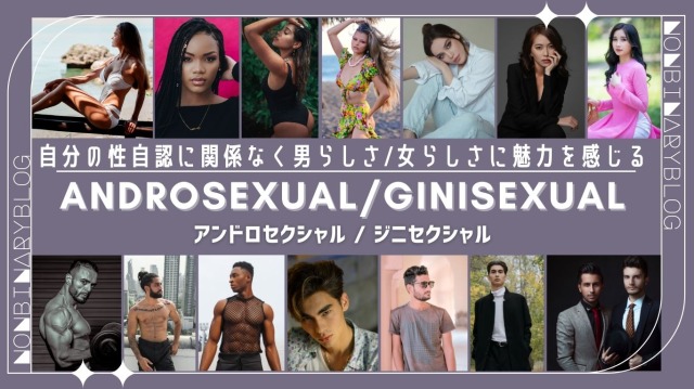 アンドロセクシュアル / ジニセクシュアル とは？　 Androsexual /  Ginisexual
（マセクシャル / ウーマセクシャル 　 Masexual / Womsexual）
自分の性自認に関わらず男性or女性に性的な魅力を感じる。