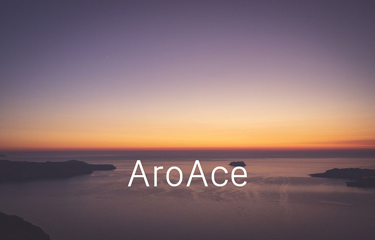 aroace
性的魅力を感じたり関係を持つことをほぼ望まない、恋愛感情もほぼ無い。