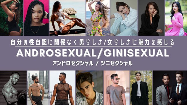 アンドロセクシュアル / ジニセクシュアル とは？　 Androsexual /  Ginisexual
（マセクシャル / ウーマセクシャル 　 Masexual / Womsexual）
自分の性自認に関わらず男性or女性に性的な魅力を感じる。