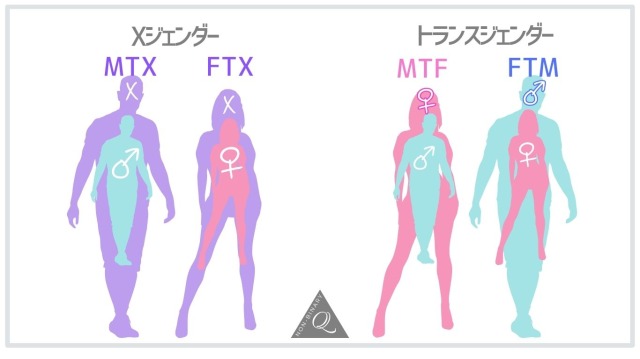 図解、Xジェンダーとトランスジェンダー