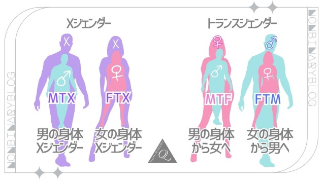 Xジェンダーとトランスジェンダーのちがい、日本と海外
