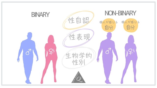 図解、バイナリー、ノンバイナリー