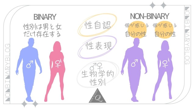Xジェンダーとノンバイナリーのちがい。バイナリーとノンバイナリー図解。