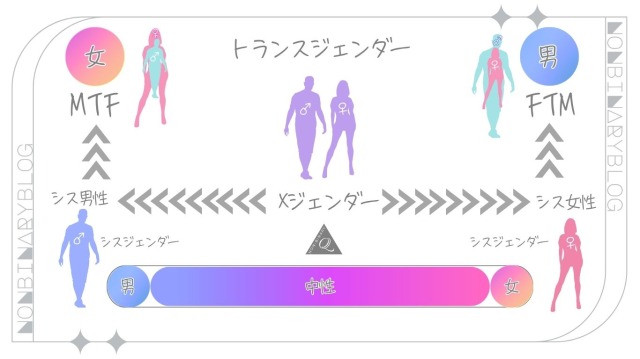 Xジェンダー、トランスジェンダー、シスジェンダー性別の感じ方図解説明